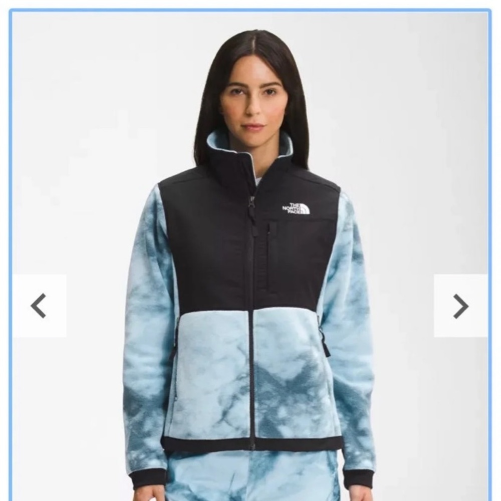 the north face coat